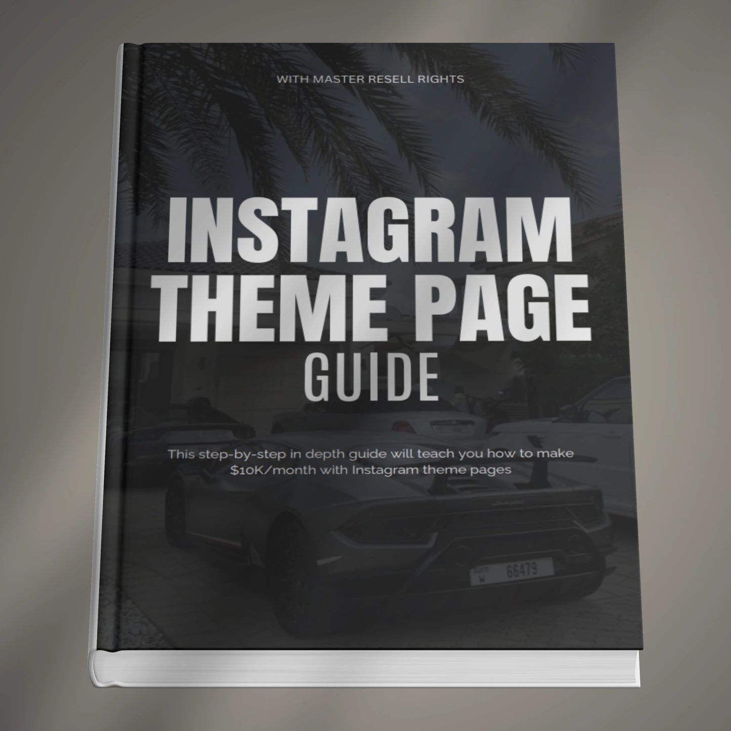 Instagram Theme Page Guide (E-book)